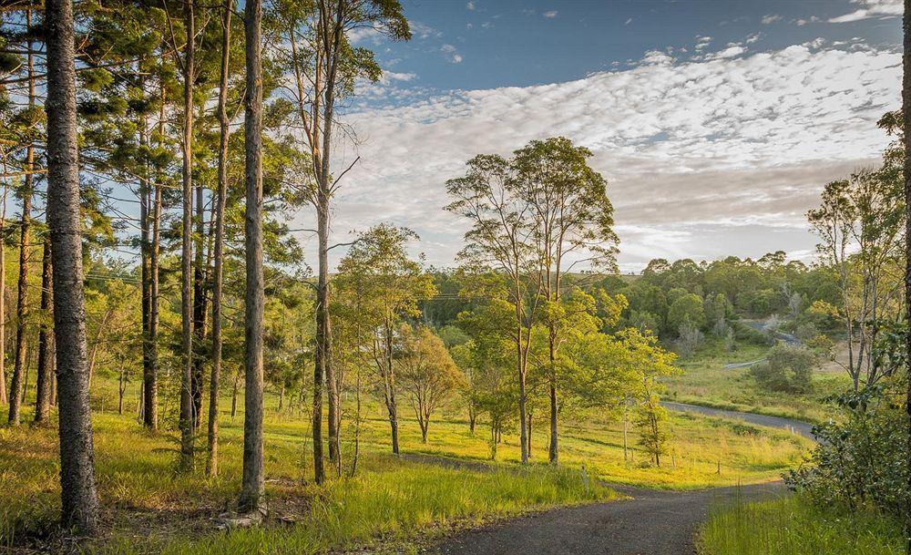 Abelia House Bed & Breakfast Byron Bay Eksteriør bilde