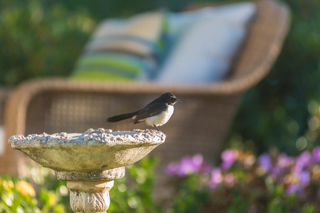 Abelia House Bed & Breakfast Byron Bay Eksteriør bilde