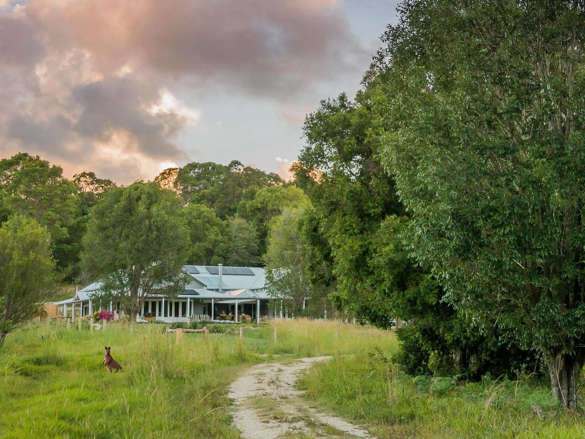 Abelia House Bed & Breakfast Byron Bay Eksteriør bilde