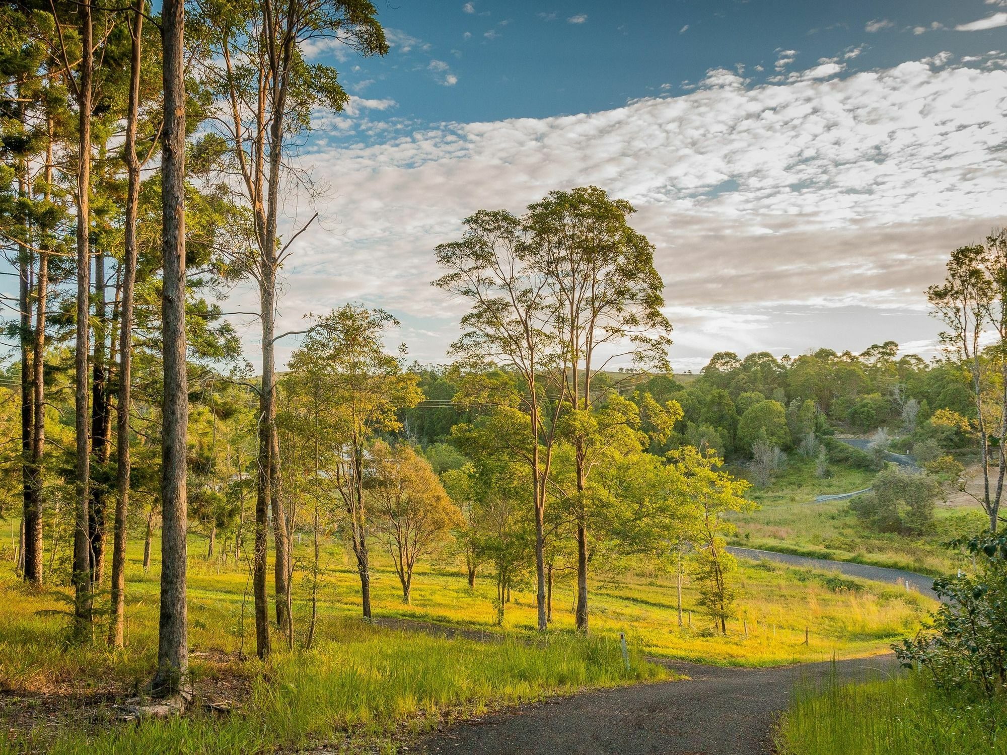 Abelia House Bed & Breakfast Byron Bay Eksteriør bilde