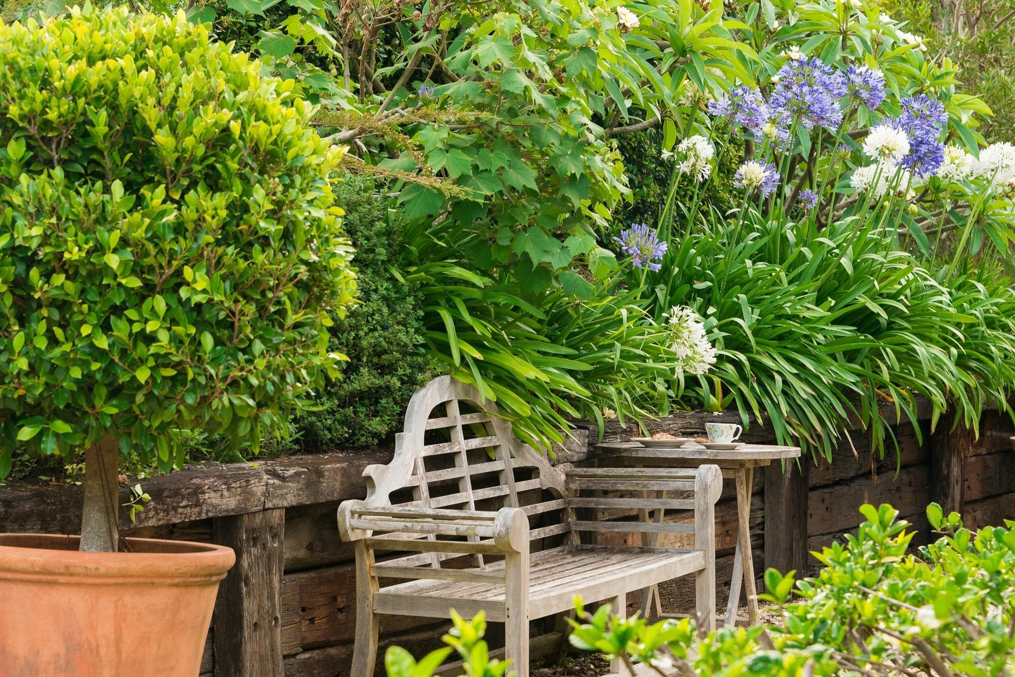 Abelia House Bed & Breakfast Byron Bay Eksteriør bilde